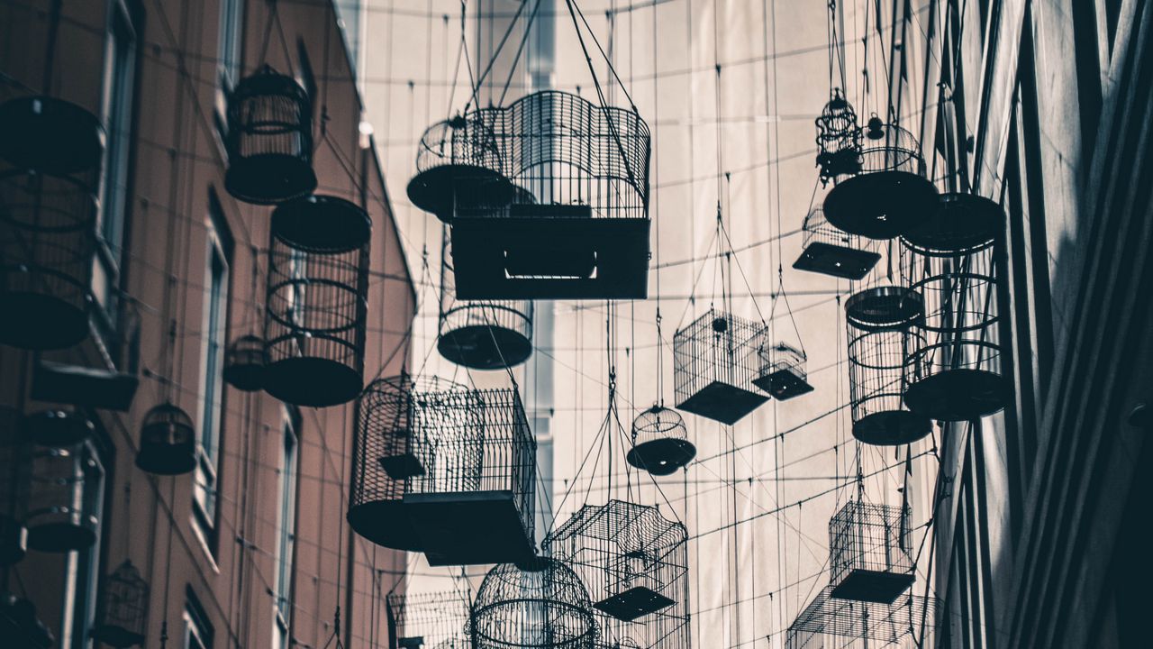Wallpaper bird cages, buildings, architecture, installation