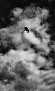 Preview wallpaper bird, clouds, bw, flight, sky
