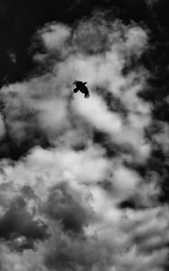 Preview wallpaper bird, clouds, bw, flight, sky