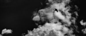 Preview wallpaper bird, clouds, bw, flight, sky