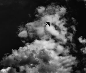 Preview wallpaper bird, clouds, bw, flight, sky