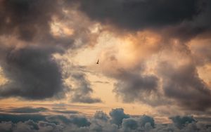 Preview wallpaper bird, clouds, sky