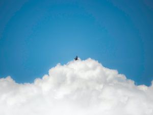 Preview wallpaper bird, clouds, sky, flight