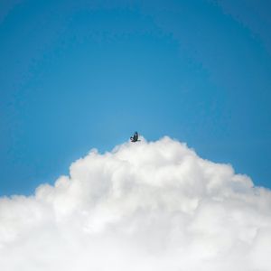 Preview wallpaper bird, clouds, sky, flight