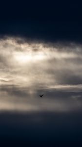 Preview wallpaper bird, clouds, sky, dark, minimalism