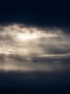 Preview wallpaper bird, clouds, sky, dark, minimalism