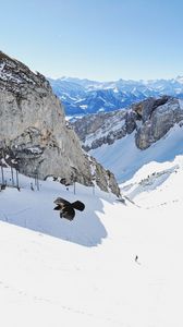 Preview wallpaper bird, flight, rocks, snow, snowy