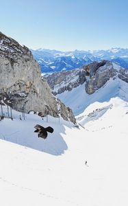 Preview wallpaper bird, flight, rocks, snow, snowy