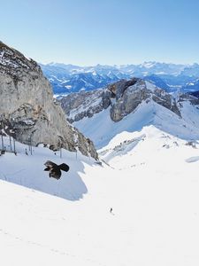 Preview wallpaper bird, flight, rocks, snow, snowy