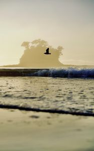 Preview wallpaper bird, flight, sea, wave, nature