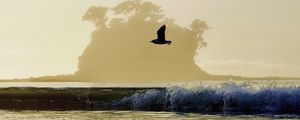 Preview wallpaper bird, flight, sea, wave, nature