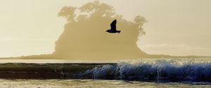 Preview wallpaper bird, flight, sea, wave, nature