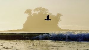 Preview wallpaper bird, flight, sea, wave, nature