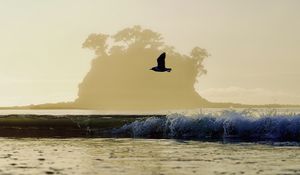Preview wallpaper bird, flight, sea, wave, nature