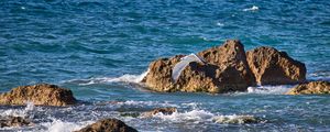 Preview wallpaper bird, flight, sea, waves, stones, nature