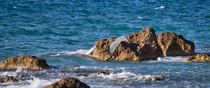 Preview wallpaper bird, flight, sea, waves, stones, nature