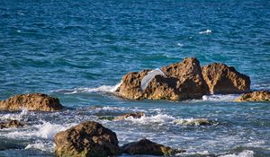 Preview wallpaper bird, flight, sea, waves, stones, nature