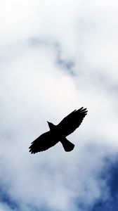 Preview wallpaper bird, flight, sky, silhouette, clouds