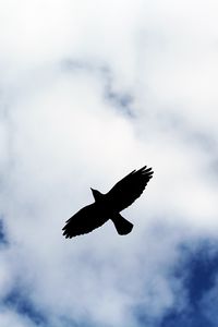 Preview wallpaper bird, flight, sky, silhouette, clouds