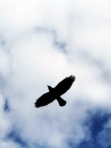 Preview wallpaper bird, flight, sky, silhouette, clouds