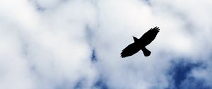 Preview wallpaper bird, flight, sky, silhouette, clouds