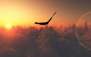 Preview wallpaper bird, flight, sun, patches of light, clouds, freedom, height