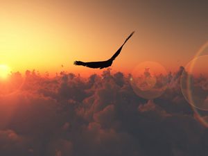Preview wallpaper bird, flight, sun, patches of light, clouds, freedom, height
