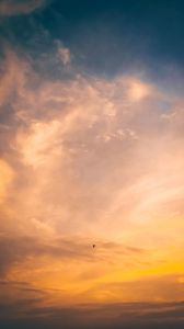 Preview wallpaper bird, flight, sunset, sky