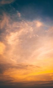 Preview wallpaper bird, flight, sunset, sky
