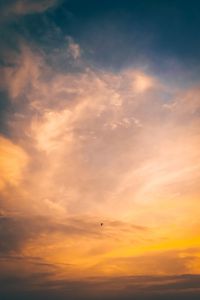 Preview wallpaper bird, flight, sunset, sky