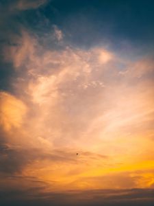 Preview wallpaper bird, flight, sunset, sky