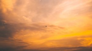 Preview wallpaper bird, flight, sunset, sky