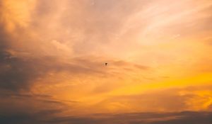Preview wallpaper bird, flight, sunset, sky
