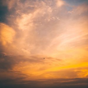 Preview wallpaper bird, flight, sunset, sky