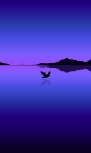 Preview wallpaper bird, flight, water, reflection, vector, blue