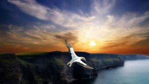 Preview wallpaper bird, flight, wings, mountains, decline, evening