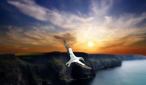 Preview wallpaper bird, flight, wings, mountains, decline, evening