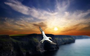 Preview wallpaper bird, flight, wings, mountains, decline, evening