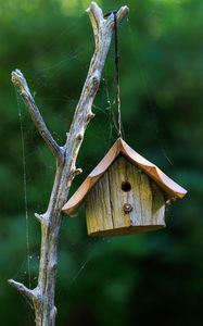 Preview wallpaper bird house, wood, cobweb, blur