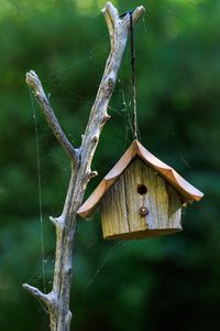 Preview wallpaper bird house, wood, cobweb, blur