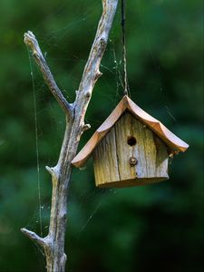 Preview wallpaper bird house, wood, cobweb, blur