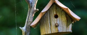 Preview wallpaper bird house, wood, cobweb, blur