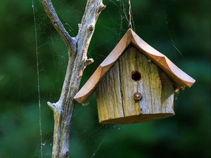 Preview wallpaper bird house, wood, cobweb, blur