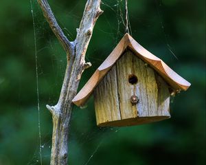 Preview wallpaper bird house, wood, cobweb, blur