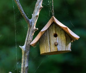Preview wallpaper bird house, wood, cobweb, blur