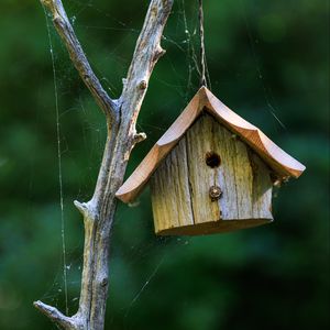 Preview wallpaper bird house, wood, cobweb, blur