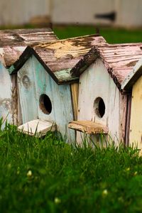 Preview wallpaper bird houses, birds, houses