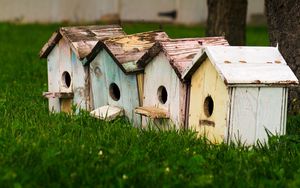 Preview wallpaper bird houses, birds, houses