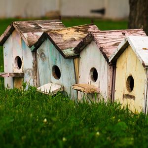 Preview wallpaper bird houses, birds, houses