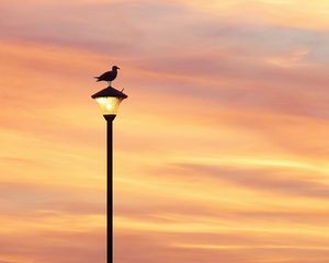 Preview wallpaper bird, lantern, silhouette, sunset, sky